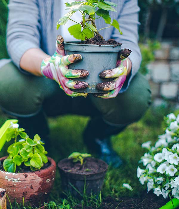 Portrait of mid-adult woman proudly showing her plants