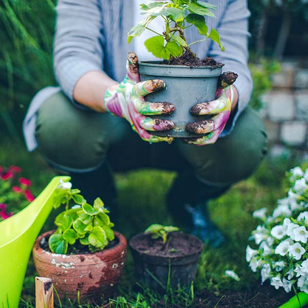 Portrait of mid-adult woman proudly showing her plants