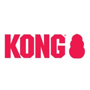 Kong Logo