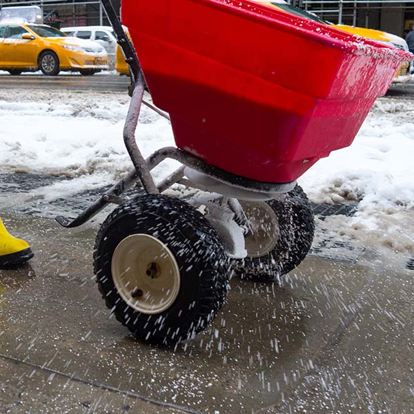 Worker spreading salt on icy sidewalk